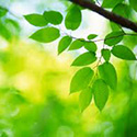 enviroment