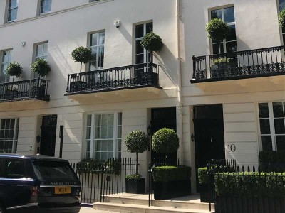 Chelsea Decorator